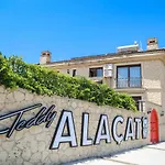 Teddy Luxury AlacatI