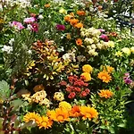 Hotel Garden Terrace Old Istanbul