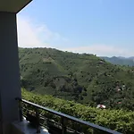 Garden Palace Villa