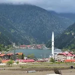Gol Hotel