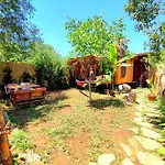 Tiny House Ceviz Kayakoey Jungle Camping