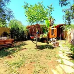 Tiny House Ceviz Kayakoey Jungle Camping