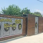 Portakal Cicegi 1