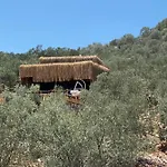 Lovin Gocek & Tiny House Mermaid