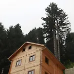 Dag Evi Inka