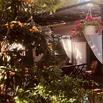 Sakiz Kizi Butik Otel