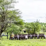 Serengeti Wild Camp