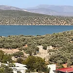 Nek House Zeytin