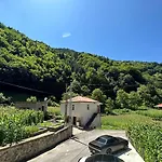 Uzungoel Meryemli Suit