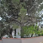 Beyaz Konak Guere