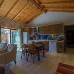 Mugla Fethiye Stone Daylight Villa 1