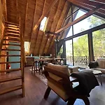 Panurlawoodenhouse Oezel Havuz& Sauna Mavi