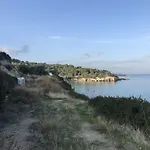 Tiny House Framed By Nature Near Sea In Karaburun