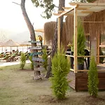 Green Pine Bungalows & Beach Luxury Concept