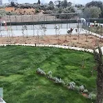 Cukurova Balkon Bueyuek 1+1
