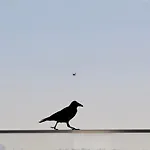 Villa Sphendone Suites Istanbul