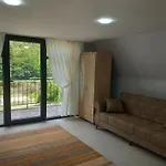 Uzungoel Caykara Pansiyon Bungalov