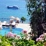 Omar Hotel & Suites