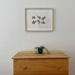 Central Location 3 Bedroom Flat - No6