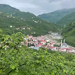 Yesil Ve Huzur Dolu Bir Daire