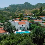 Alya Country