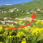 Muallim Apart