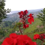 Lazzy Bungalov Black Sea