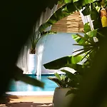 Voger Alacati Koeyici