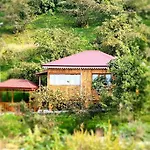 Bahcede Ahsap Bag Evi Ve Cardak