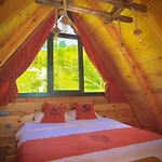 Dogallife Suit Bungalow