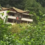 Orda Bir Koey Var Uzakta