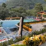 Sunsetpremiumgocek