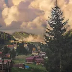 Ayder Calikusu Bungalov