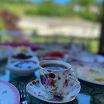 Aydin Villa