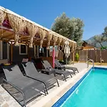 Lion Villa