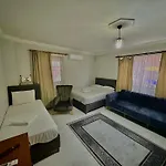 Siesta 61