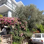 Olive Grove Mansion - Koesedere Village