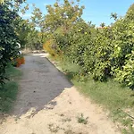 Villa Ayla