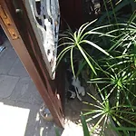 Cunda Zehra Teyzenin Evi