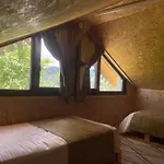 Isina Dag Evi Rize