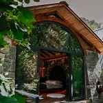 Zamaneevlerii