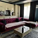 Cinar Suite