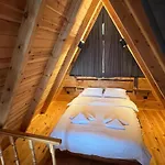 Fora Suit Bungalov 2