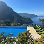 Olive Garden Kabak