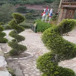 Tree Houses