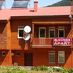 Guenes Apart