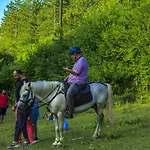 Nesilce Tatil Koyu