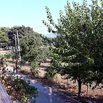 Can Efes Hotel