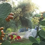 Sultan Camp