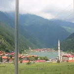 Gol Hotel